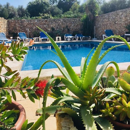 Xagħra Botanica B&B מראה חיצוני תמונה