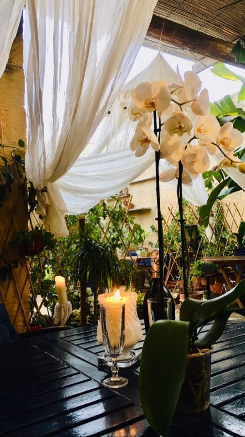 Xagħra Botanica B&B מראה חיצוני תמונה