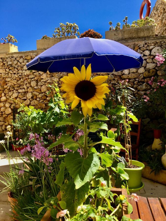 Xagħra Botanica B&B מראה חיצוני תמונה
