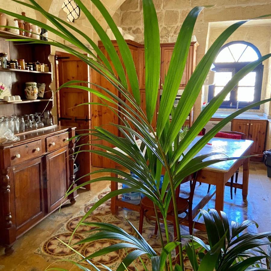 Xagħra Botanica B&B מראה חיצוני תמונה