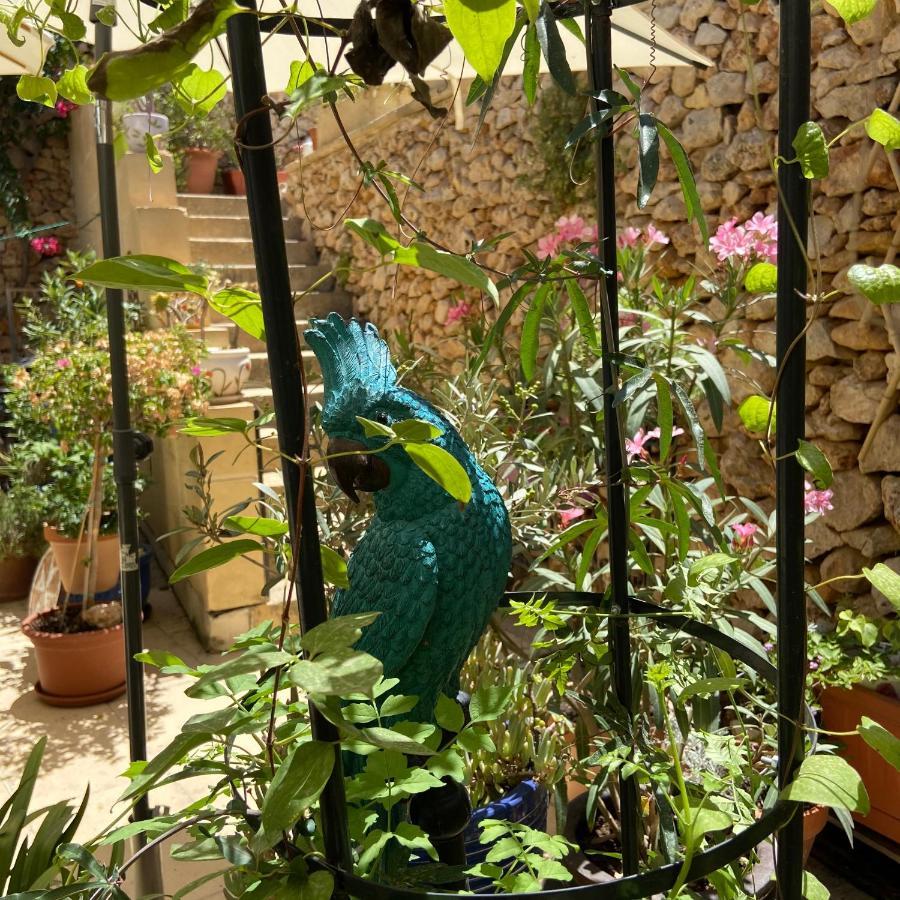 Xagħra Botanica B&B מראה חיצוני תמונה